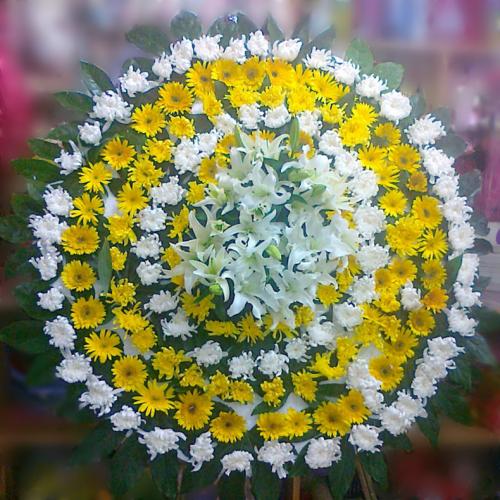 祭奠菊花一般用多少支 祭奠菊花11支好还是9支好