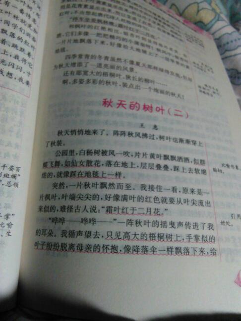 秋天的果实作文 10种代表秋天的果实