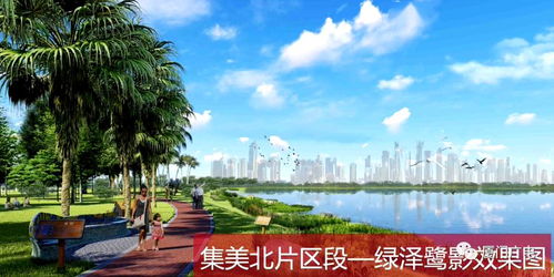 福州的市花和市树是什么 厦门市市树和市花是啥