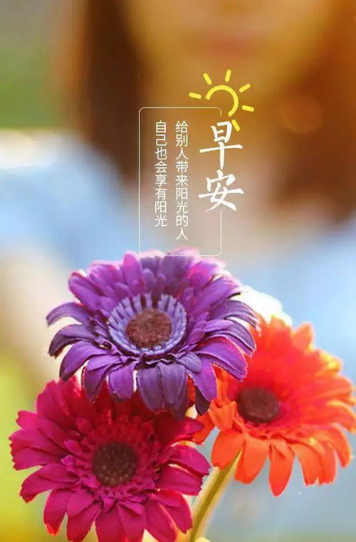 秋天高级文案短句撩人 秋天最走心的精辟句子