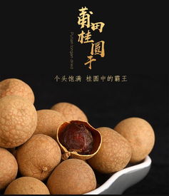 福建的龙眼几月成熟 龙眼几月是旺季