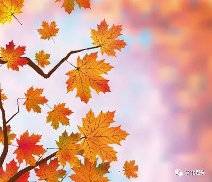 秋天的十大绝美诗句 赞美初秋的诗句