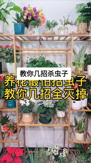 离我最近的绿植批发 离我最近的花卉市场批发