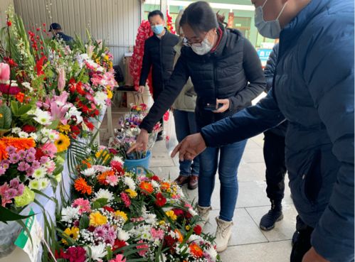 祭祀老人送什么鲜花 给老人上坟买几朵花