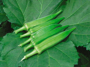 秋葵的八大功效 女性吃秋葵的好处