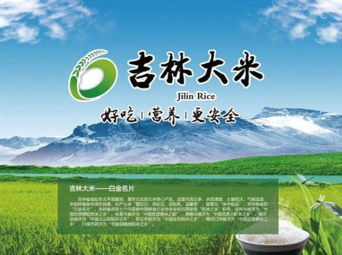 稻米之乡是哪个省 中国哪里称为稻谷之乡