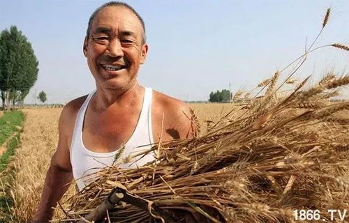 穷人养殖什么最挣钱 种植什么赚钱快不愁卖