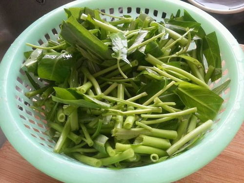 空心菜为什么叫痛风菜 空心菜三种人不宜吃