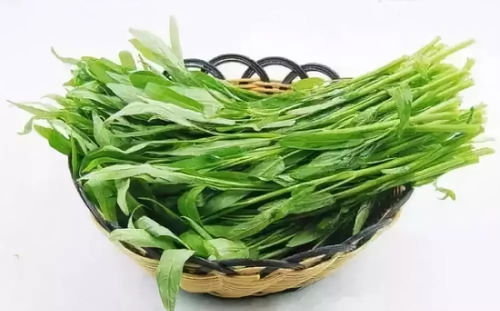 空心菜喜阴还是喜阳 空心菜浇水的正确方法