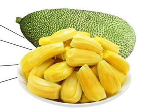 种菠萝蜜种子的方法 菠萝蜜在家该怎么种