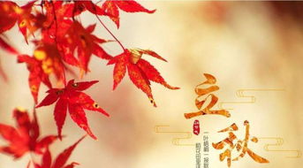 立秋后多长时间种胡萝卜 胡萝卜九月份种晚不晚