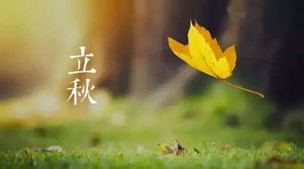 立秋的绝美文案 秋天最撩人的文案