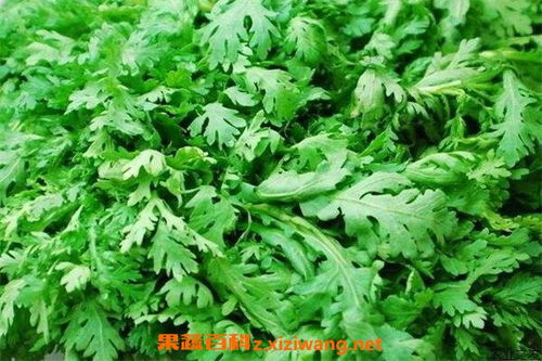 立秋后可以种茼蒿菜吗 茼蒿30度能种吗