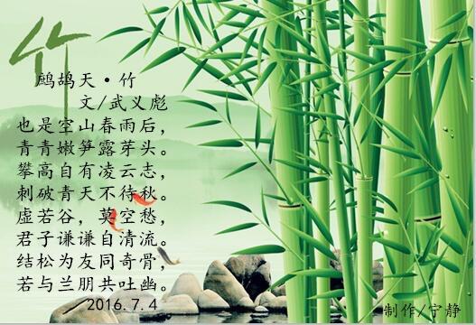 竹子比喻人品质诗句 竹子禅意诗句