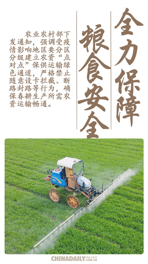 粮食的重要性和意义 粮食安全的五大意义