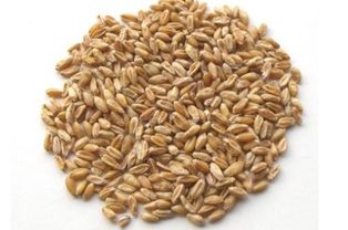 糯稻根和浮小麦搭配治盗汗 浮小麦配什么止汗最好