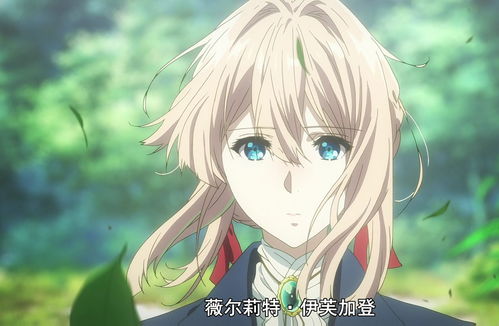 紫罗兰的花语 紫罗兰为什么叫薇尔莉特