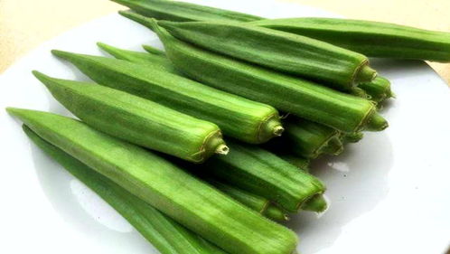 红秋葵为什么没人种 长老了的秋葵怎么吃