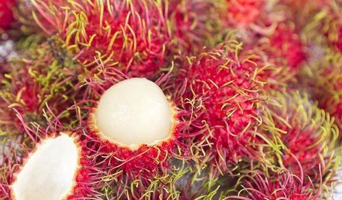 红毛丹老是吃到内核皮 红毛丹果核膜怎么弄掉