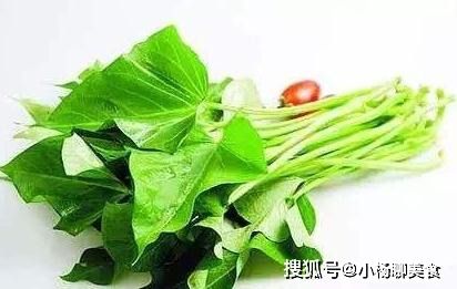 红薯叶的最佳搭配 红薯叶最好吃的做法