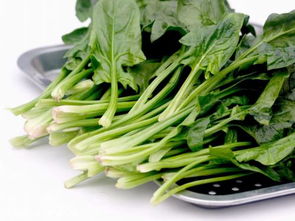红色菜叶的菜是什么菜 菜叶中间是红色的是什么菜