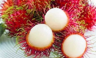 红毛丹怎么吃不粘核皮 红毛丹怎么剥不带里面那层皮