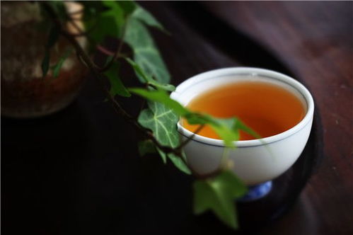 红茶与绿茶的本质区别 长期喝红茶好还是绿茶好