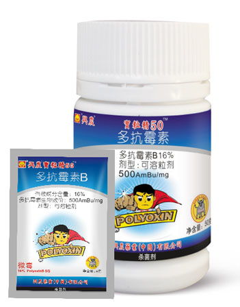 细胞壁的组成和功能 细胞壁的组成成分