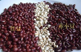 红豆什么病不能吃呢 红豆和什么相克中毒