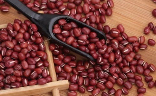 红豆和赤小豆有什么区别 女人吃红豆好还是赤小豆好