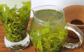 经常喝绿茶好处和坏处 喝什么茶对男性性功能好