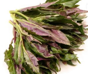 绿苋菜和红苋菜的区别 苋菜的10大禁忌