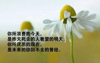 给病人正能量的句子 给病人信心和鼓励的句子