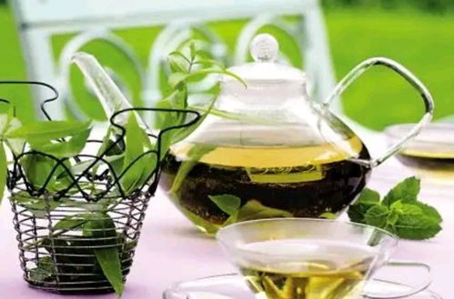 绿茶女十大特征 绿茶女最怕什么人