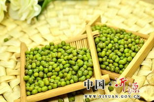 绿豆最晚什么时候种最合适 绿豆秋天最晚种植时间