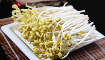 绿豆芽什么情况下有毒 绿豆芽冒绿芽尖了还能吃么