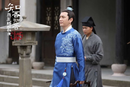 绿肥红瘦什么意思 知否绿肥红瘦暗指什么