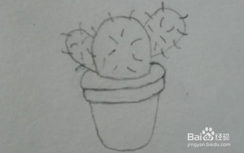 美术画仙人掌 恐怖的仙人掌怎么画