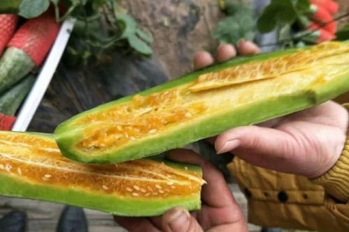 羊角蜜的危害 三种人不能吃羊角蜜