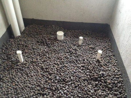 羊粪不发酵怎么使用 家庭羊粪发酵的土方法