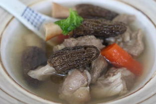 羊肚菌千万别拿来煲汤 羊肚菌炖汤最佳搭配