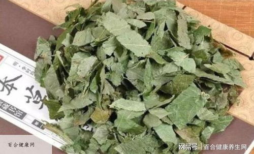 羊藿泡水可以天天喝吗 羊藿泡水喝多久停一次