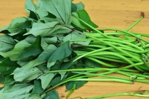 老一辈为什么不吃红薯叶 红薯叶的危害和副作用