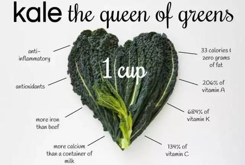 羽衣甘蓝俗称什么菜 羽衣甘蓝就是卷心菜吗