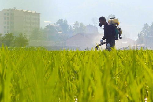 联肼乙螨唑最佳混配 联肼乙螨唑配伍禁忌