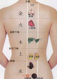 背厚怎么消除最有效 肩膀和背部很厚怎么减