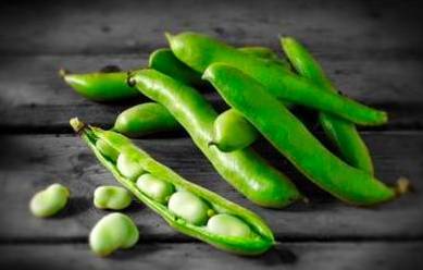 胡豆今名叫什么豆 胡豆和蚕豆的区别