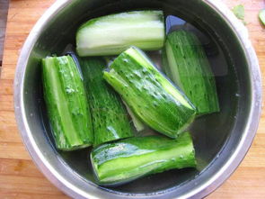 自己种的黄瓜为什么苦 黄瓜皮苦了到底能不能吃