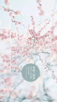 自己拍的花怎么配文字 配花的简短文字八个字
