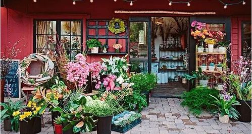自己想开花店去哪里学 一个新手怎么开花店